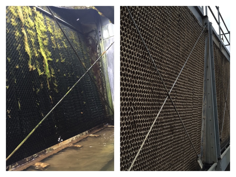 Are Cooling Tower Cleanings and Preventive Maintenance Necessary
